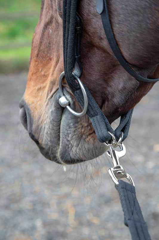 Lunging Adapter (RRP £9.99)