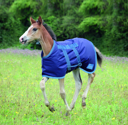 Highlander Foal Rug