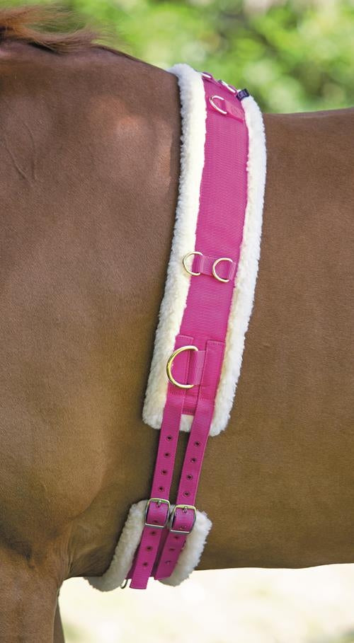 Nylon Roller With Fleece Padding