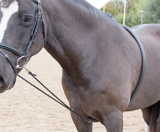 Soft Lunge Aid (RRP £26.99)