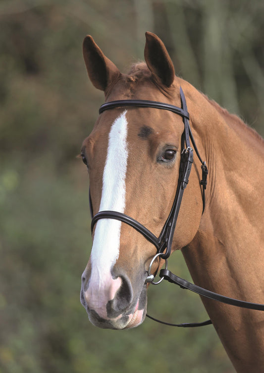 Aviemore Raised Cavesson Bridle