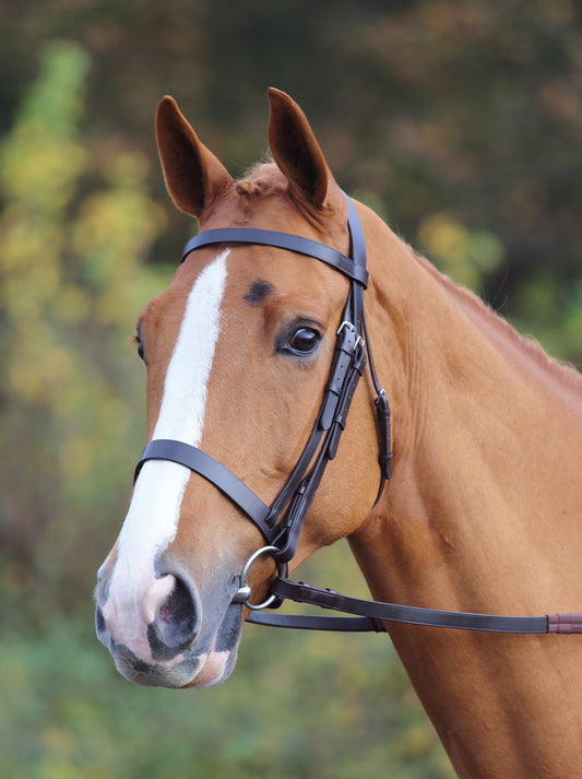 Velociti GARA Plain Bridle