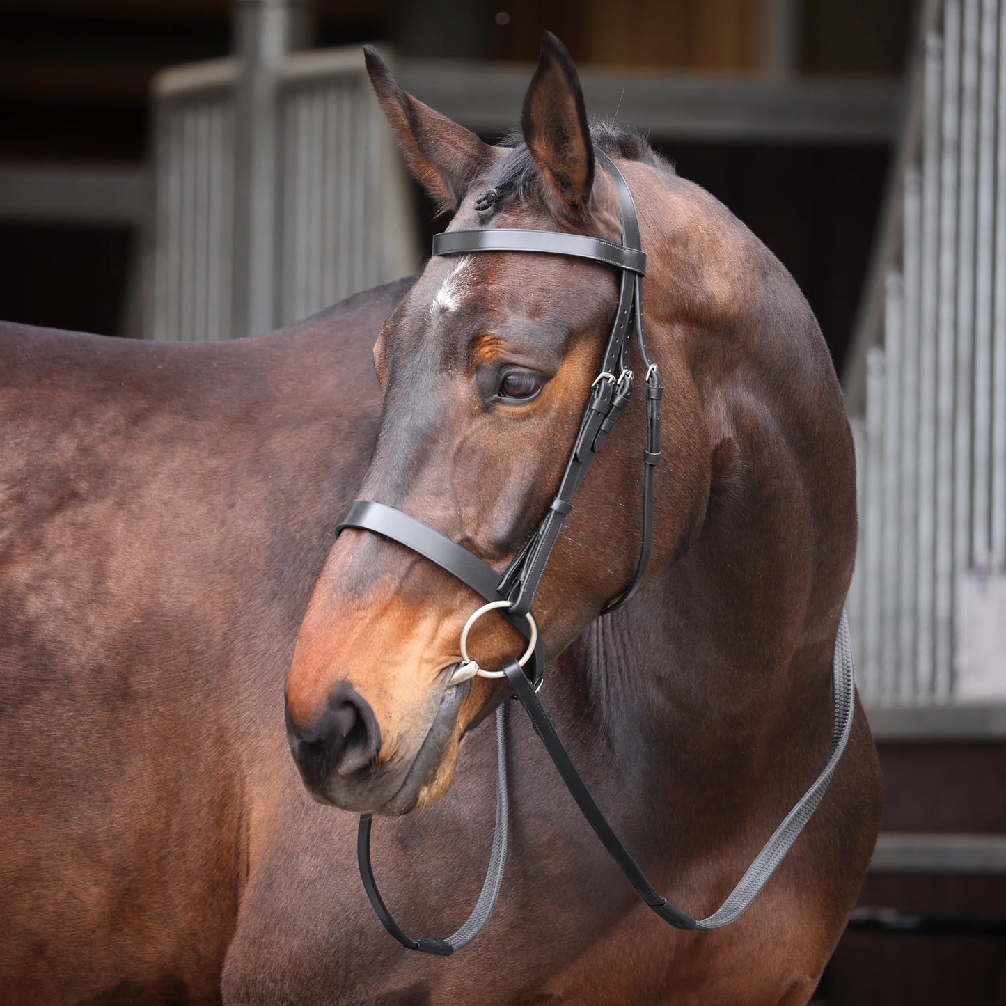 Velociti GARA Plain Bridle (RRP £40)