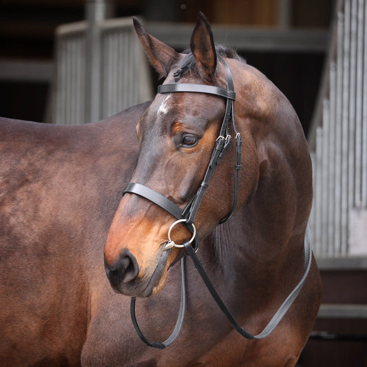 Velociti GARA Plain Bridle (RRP £40)