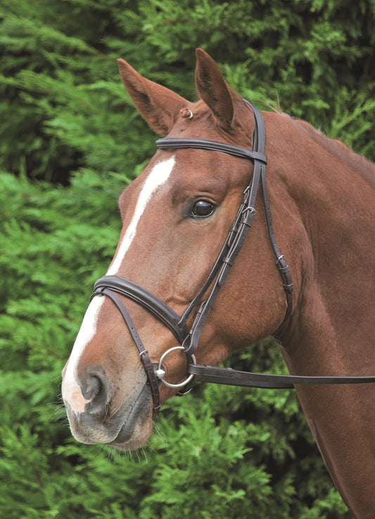 Aviemore Comfort Fit Bridle