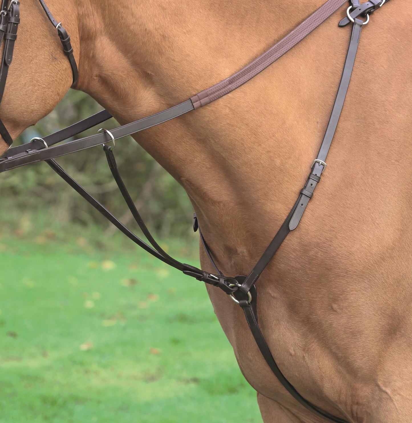 Aviemore Hunt Weight Breastplate