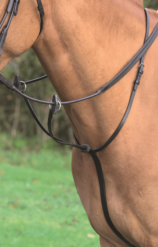 Aviemore Running Martingale