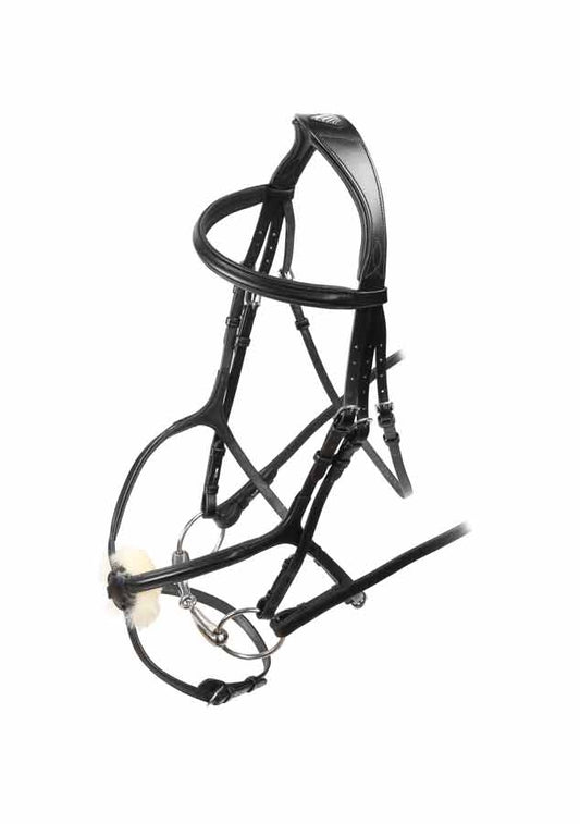 Velociti Rapida Grackle Bridle