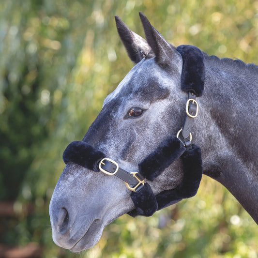 ARMA SupaFleece Halter Fleeces – 9 Piece Set