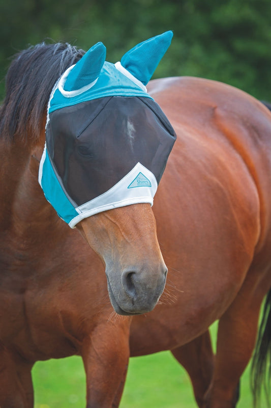 Fine Mesh Fly Mask with Ears