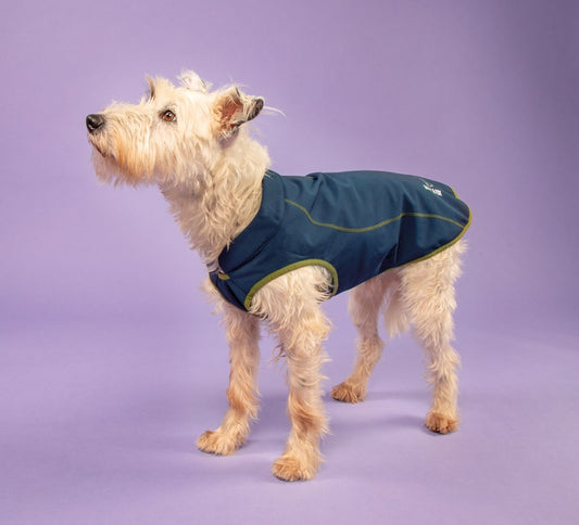 Digby & Fox Softshell Dog Coat