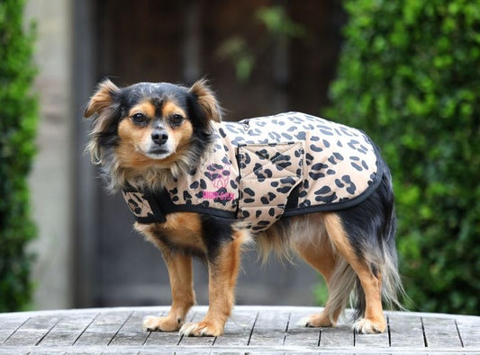Digby & Fox Leopard Print Dog Rug