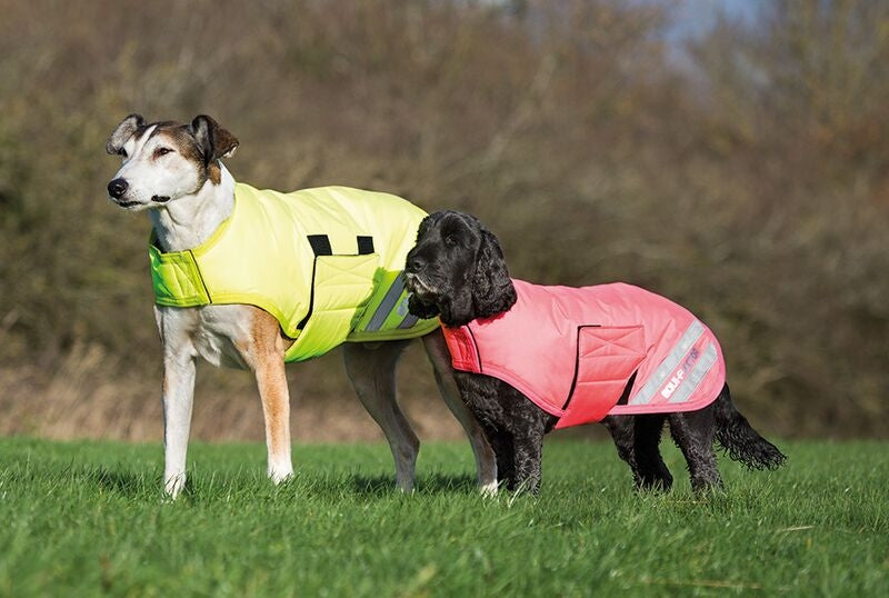 Equiflector Waterproof Dog Coat