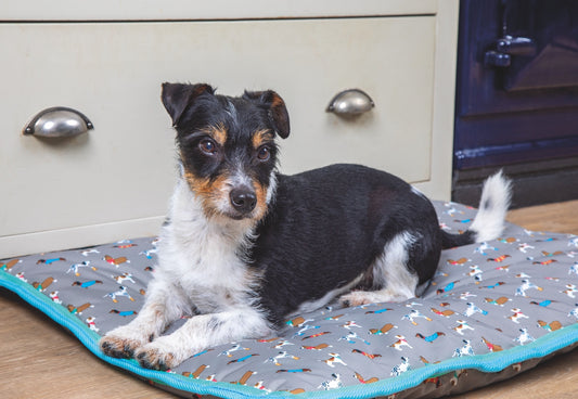 Digby & Fox Waterproof Dog Bed