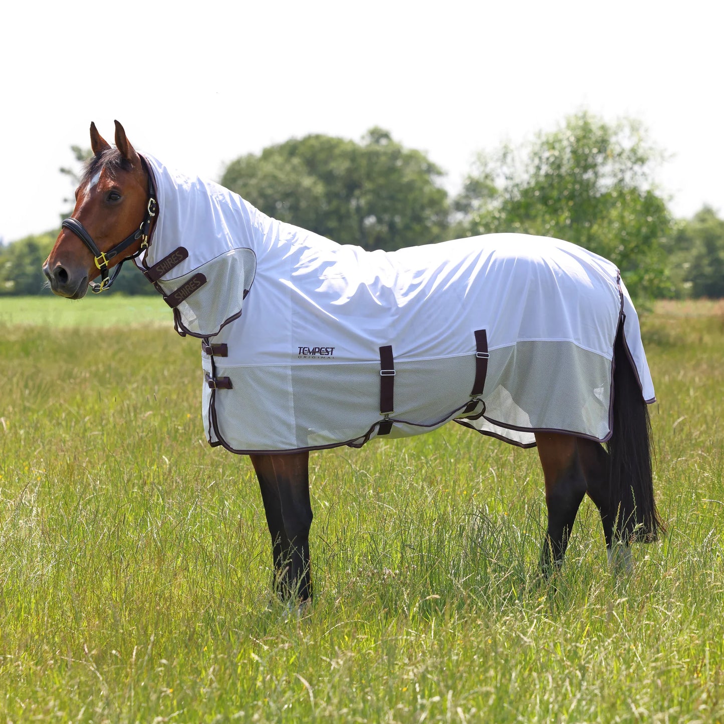 Shires Tempest Original Fly Mesh Combo Rug – 80% UV Protection, Breathable