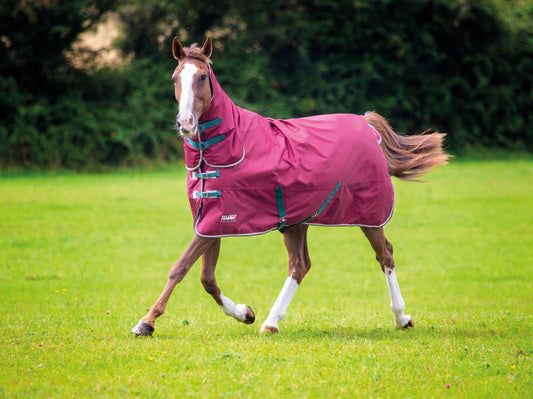 Tempest Original 200 Turnout Combo Rug (RRP £89.99)