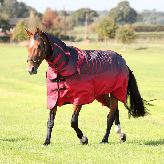 Tempest Original 100 Combo Turnout Rug (RRP £87.99)