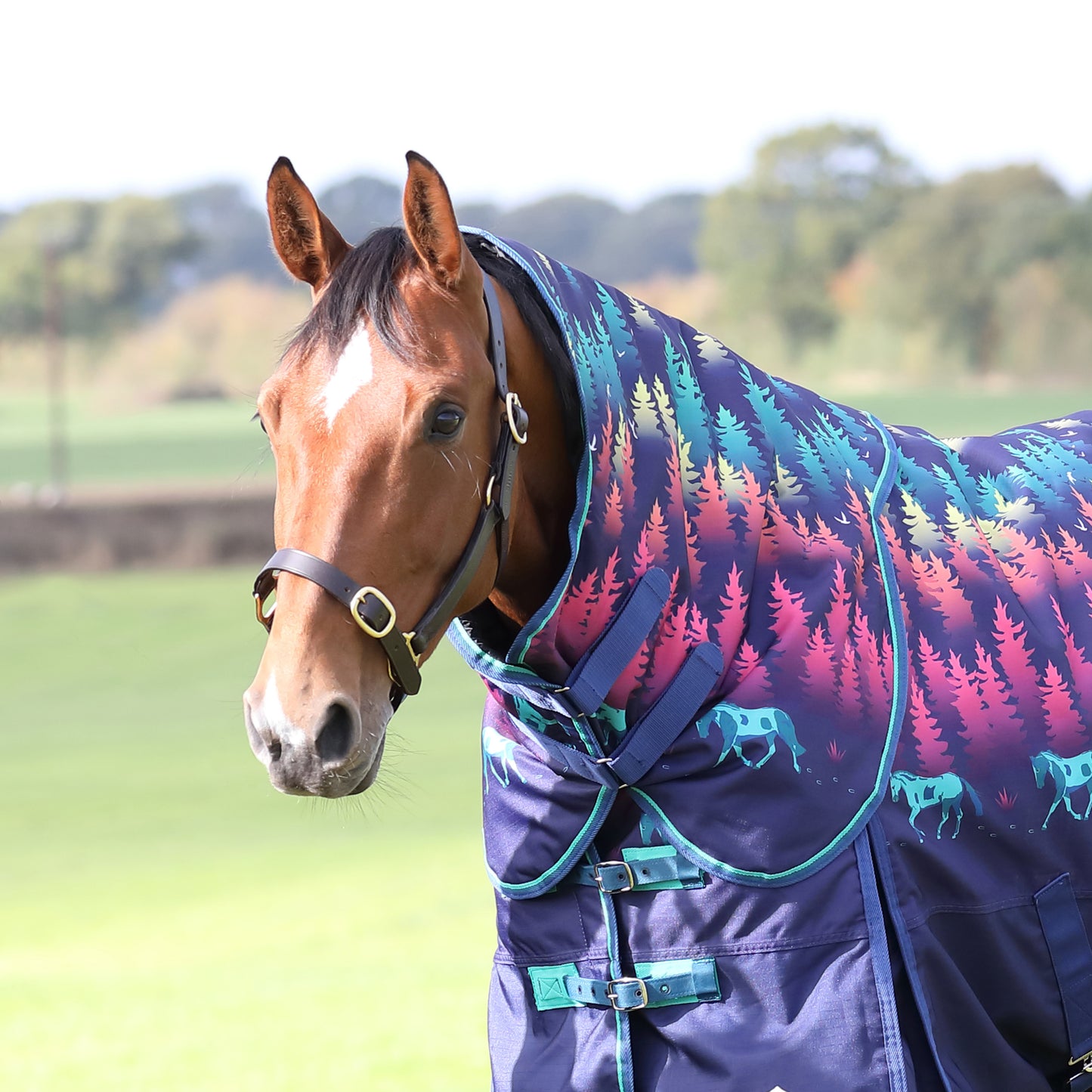 Highlander Original 100 Turnout Neck Cover (RRP £29.99)