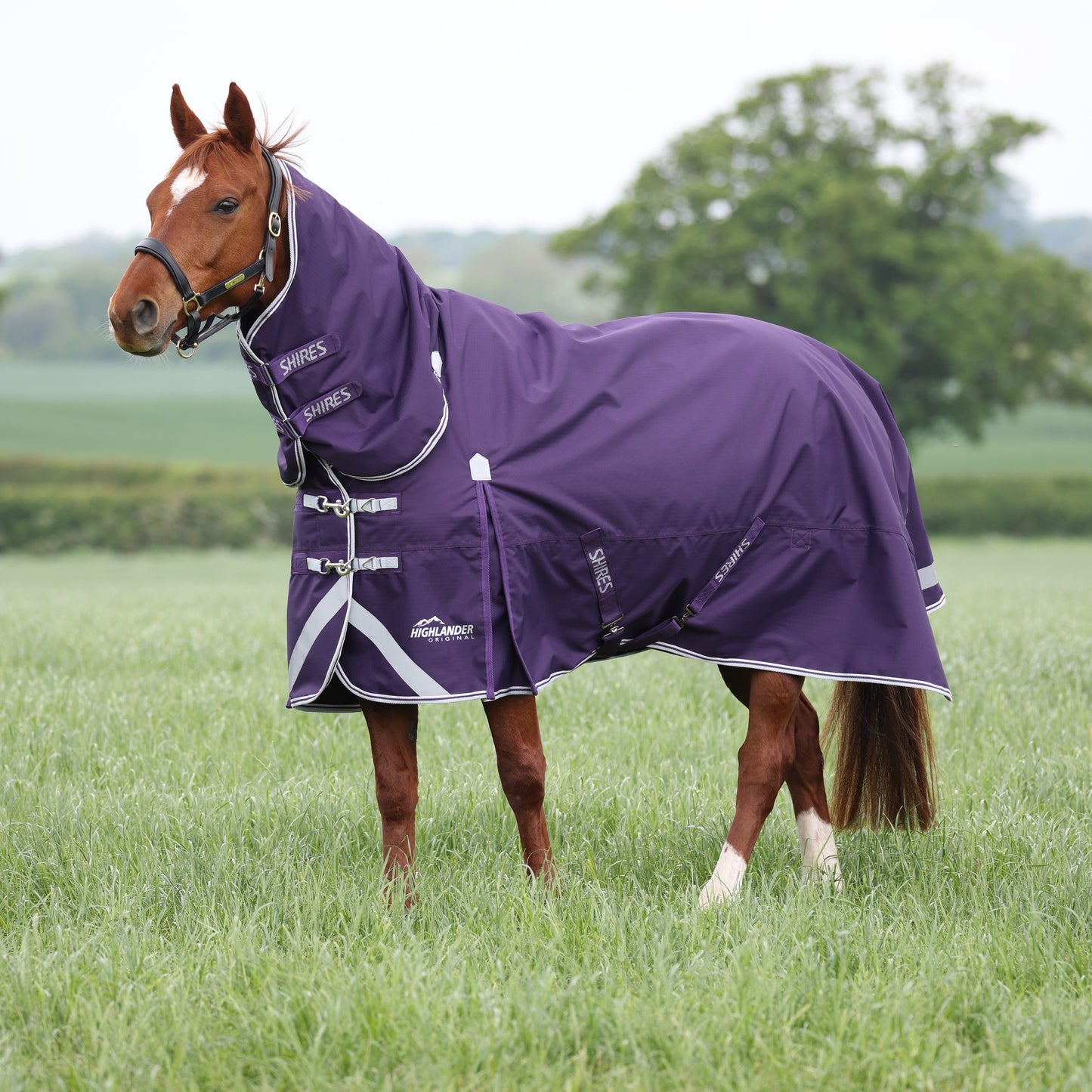 Highlander Original 100 Turnout Combo Rug (RRP £94.99)