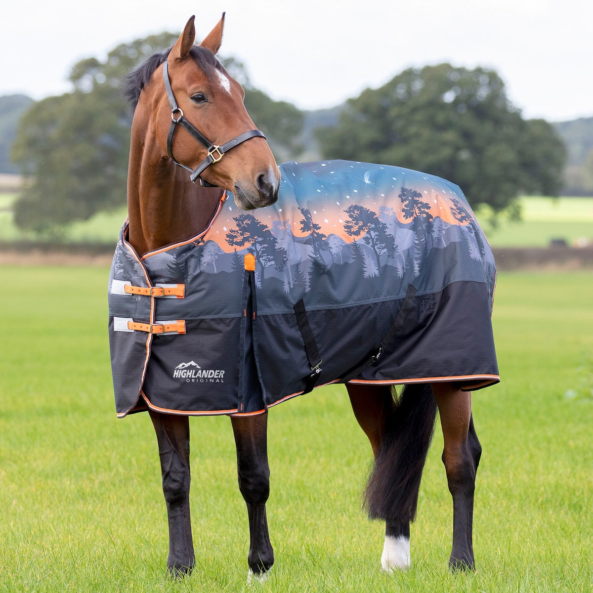 Highlander Original 200g Turnout Rug
