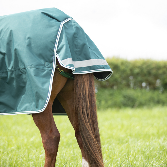 Highlander Original 300 Turnout Rug (RRP £85.00)