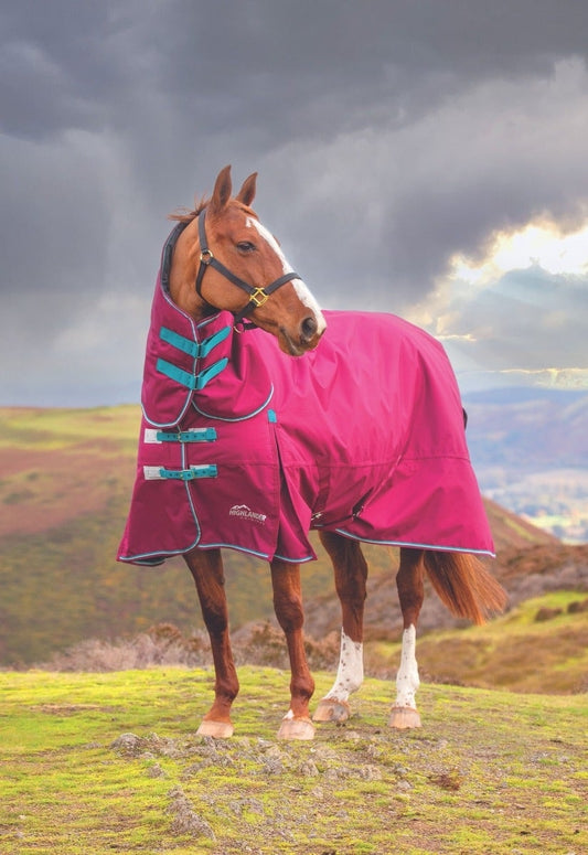 Highlander Original 300 Combo (RRP £99.99)