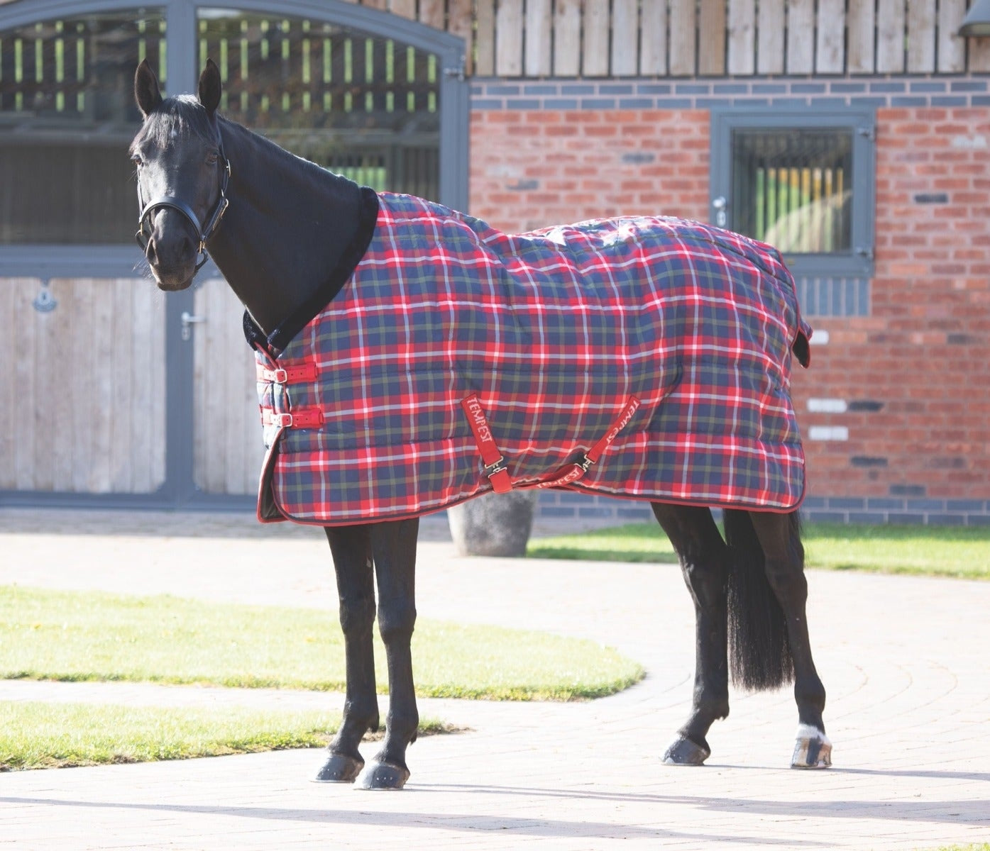 Tempest Plus 200g Stable Rug (RRP £61.99)