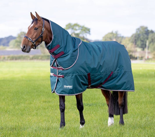 Tempest Original 200g Turnout Rug & Neck Set (RRP £98.99)