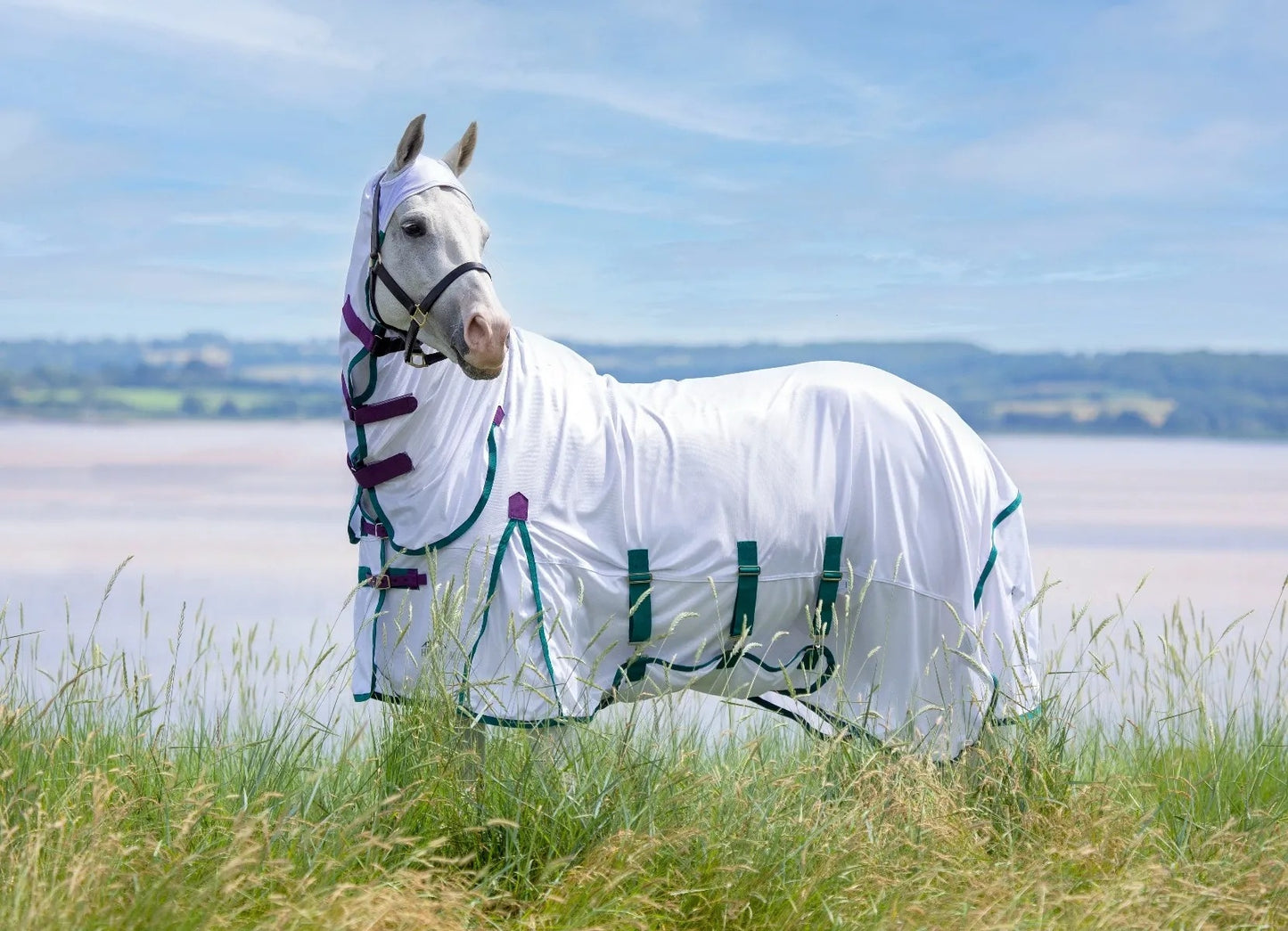 Highlander Plus Fly Sheet Combo Rug (RRP £89.99)