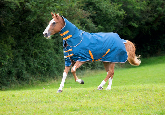 Tempest Original Lite Turnout Rug & Neck Set (RRP £79.99)