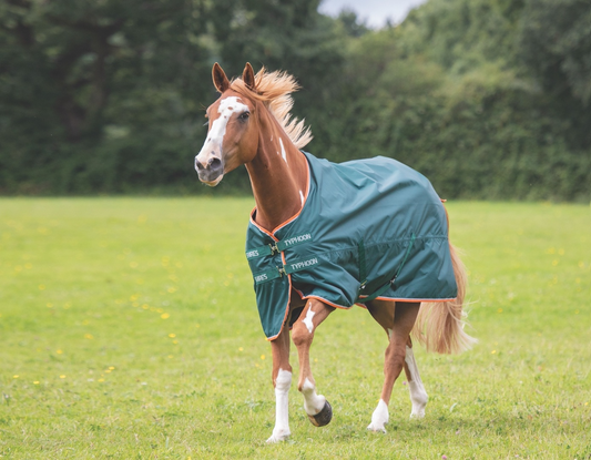 Typhoon Lite Turnout Rug (RRP £54.00)
