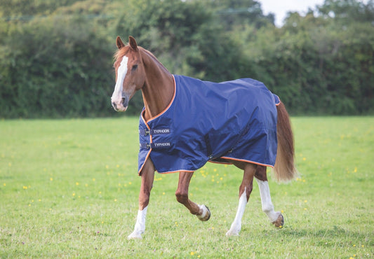 Typhoon 100g Turnout Rug - 840 Denier (Normally £57.00)