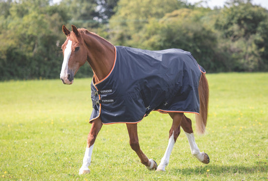 Typhoon 200g Turnout Rug (RRP £59.99)