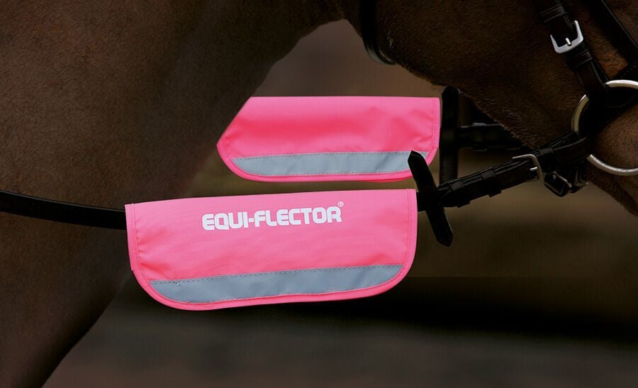 Equi-Flector Bridle Bands