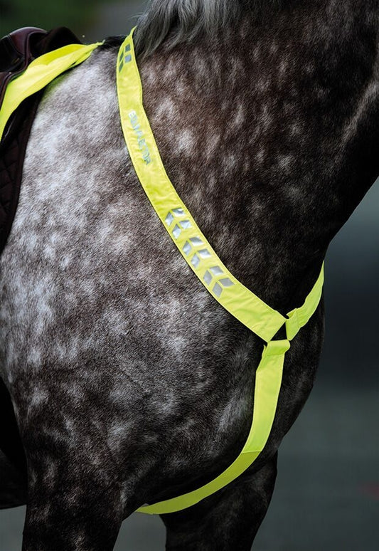 Equi-Flector Breastplate