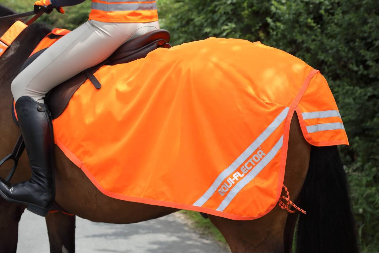 EQUI-FLECTORÂ® Waterproof Exercise Sheet (RRP £55.99)