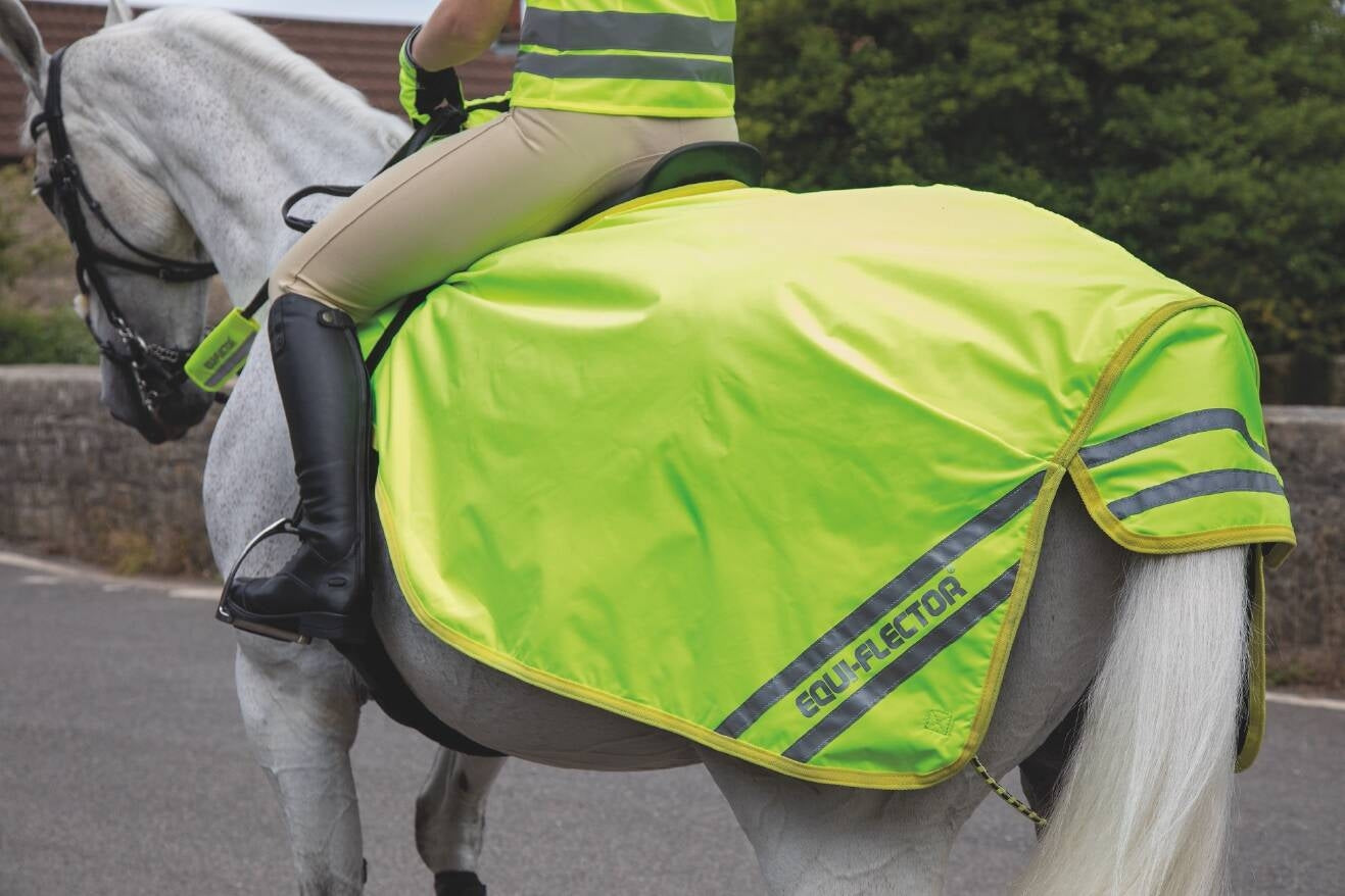 EQUI-FLECTORÂ® Waterproof Exercise Sheet (RRP £55.99)