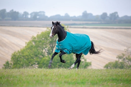 Tempest Plus 200 Turnout Rug (RRP £79.99)