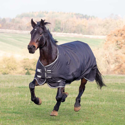 Tempest Plus 300 Turnout Rug (RRP £91.99)