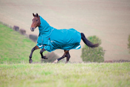 StormCheeta 200 Turnout Rug & Neck Set - 1680 Denier (RRP £149.99)