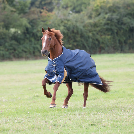 Highlander Plus Lite Turnout Rug (RRP £89.99)