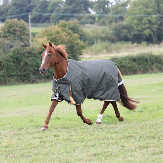 Highlander Plus 50 Turnout Rug (RRP £93.99)