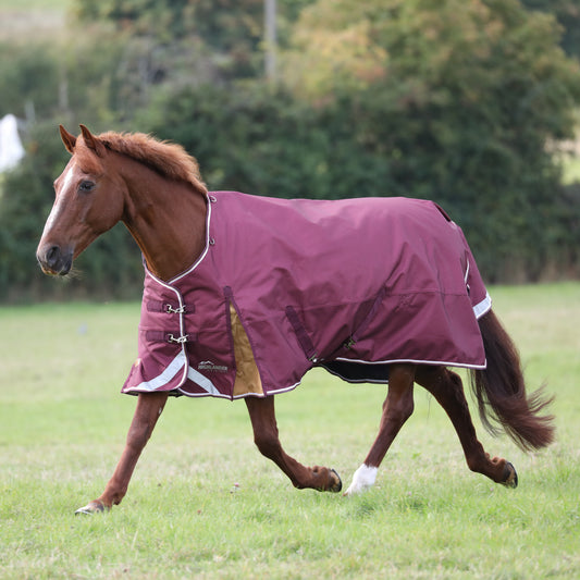 Highlander Plus 100 Turnout Rug (RRP £97.99)