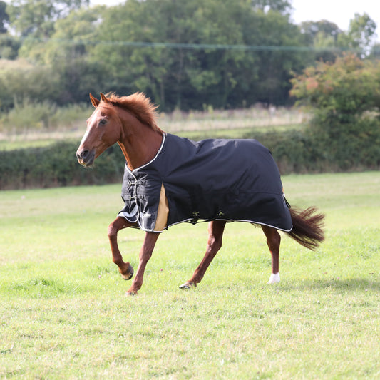 Highlander Plus 200 Turnout Rug (RRP £93.99)