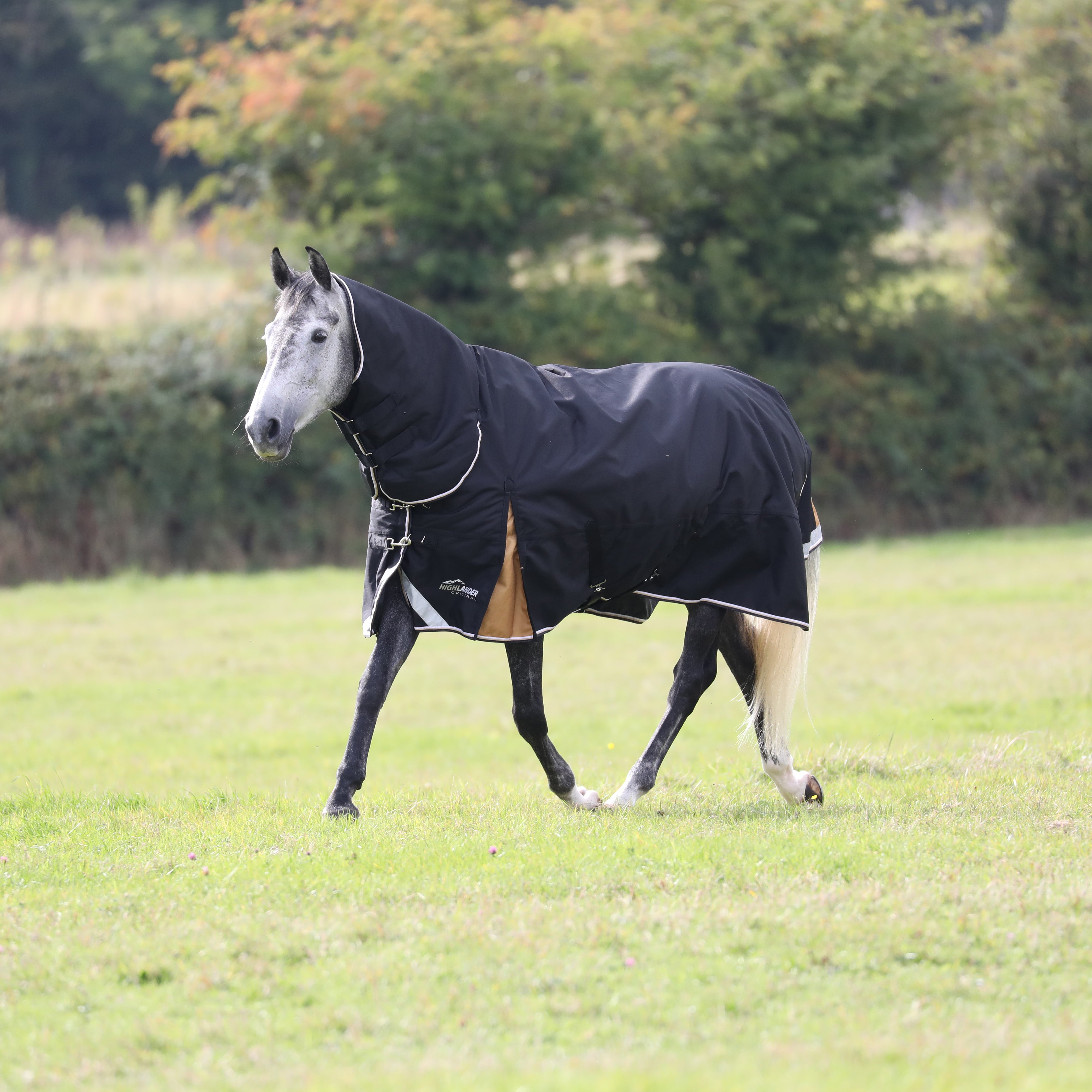 Shires Highlander Plus 200g Combo Turnout Rug | 1200D Waterproof ...