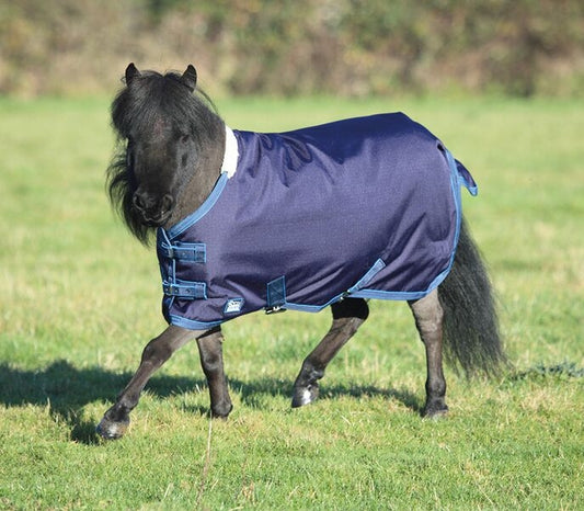 Miniature Tempest (RRP Â£43.99)