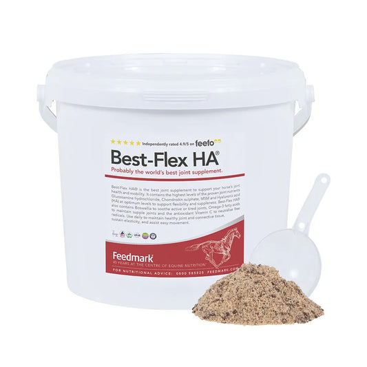 Best-Flex