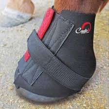 Pastern Wraps