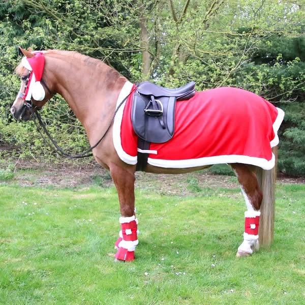 Christmas Santa Horse Leg Wraps (Set of 4)