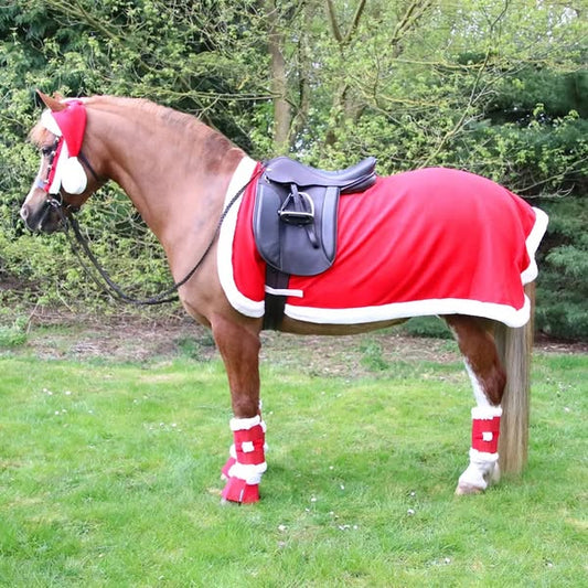 Christmas Santa Horse Leg Wraps (Set of 4)